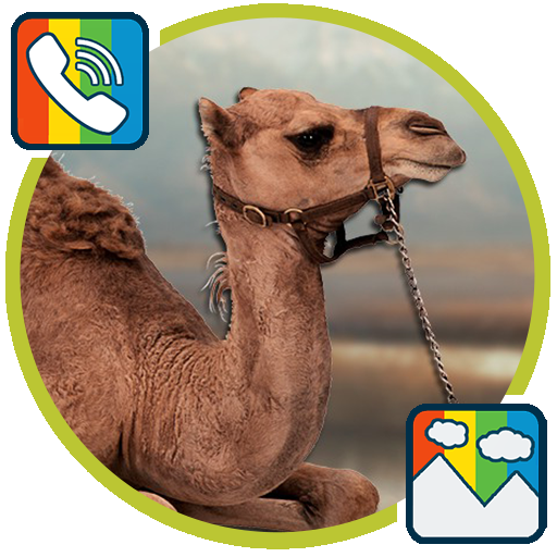 Camel - RINGTONES and WALLPAPERS icon