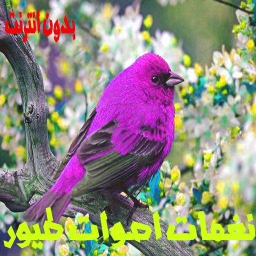 Bird sounds tones icon