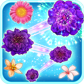 Blossom Crush icon