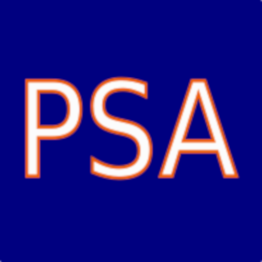 Banco de Preguntas PSA icon