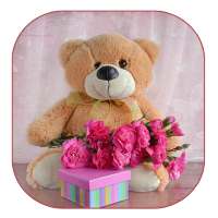 لطيف دمية دب خلفية on 9Apps