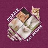 Cute Cat Puzzle
