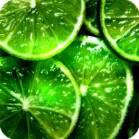 Green Wallpaper on 9Apps