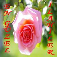 En Güzel İlahiler İnternetsiz(50 İlahi)