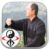 Yang Tai Chi Beginners Part 1 on 9Apps