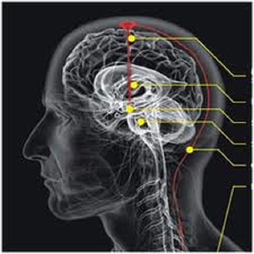 ikon Kekuatan Diri Manusia