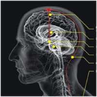 Kekuatan Diri Manusia on 9Apps