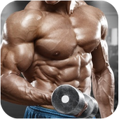 6 Pack Workouts - Home Workout Lose Weight icon