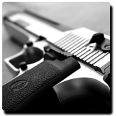 Gun Wallpapers icon