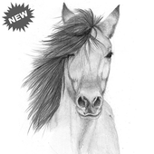 Draw Horses icon