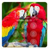 Parrot Lock Screen HD