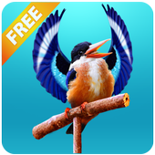 Real Talking Bird icon