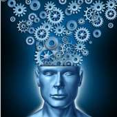 Entrena tu cerebro