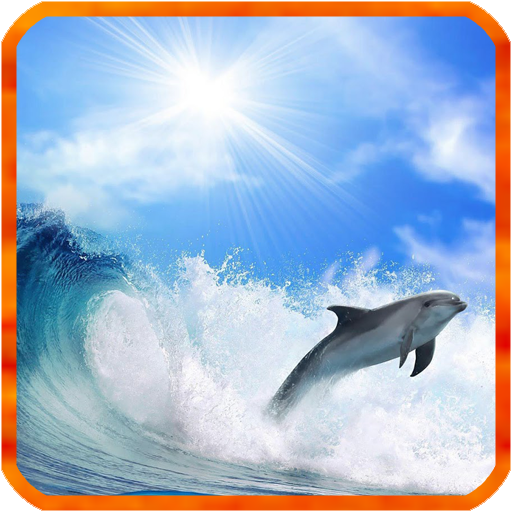 Dolphin Live Wallpaper icon