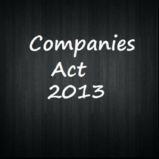 Company law 2013 icon