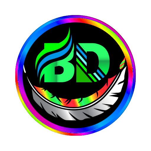 BD NET VPN - Fast And Secure icon