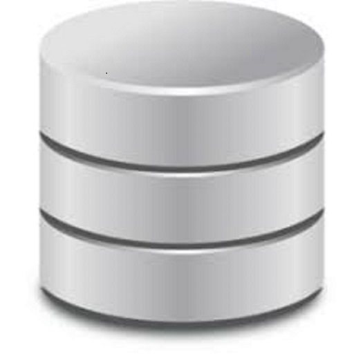 Special Data Saver icon