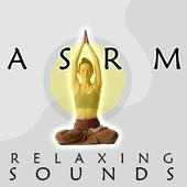 ASRM Relaxing Sounds - Sleep Meditation Zen on 9Apps