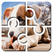 Dog Jigsaw Puzzle HD Free icon