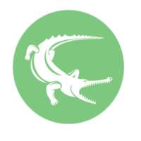 Crocodile Browser: Parcourir plus vite