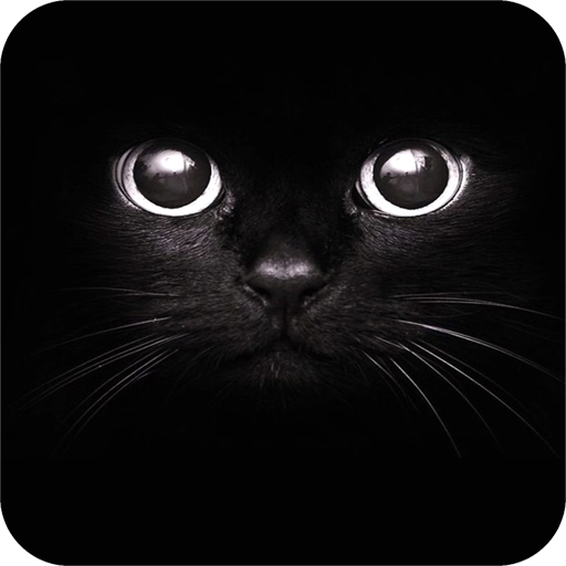 Black Wallpaper icon