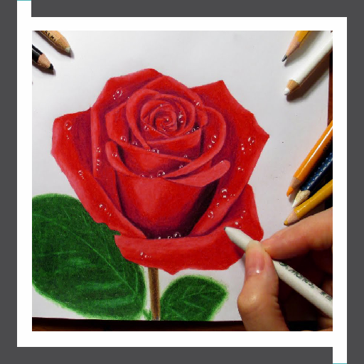 Learn to Draw Roses Flower Step by Step icon