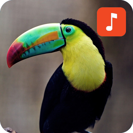 Toucan Bird Sounds icon
