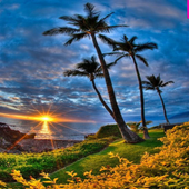 Landscape Wallpaper Ideas icon