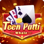 Teen Patti Whale icon