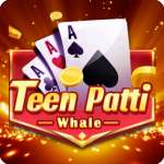 Teen Patti Whale