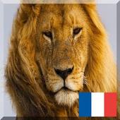 French animals names icon
