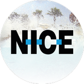 NICE Social icon