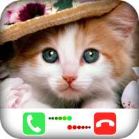 Fake Call Video Cat - simulator