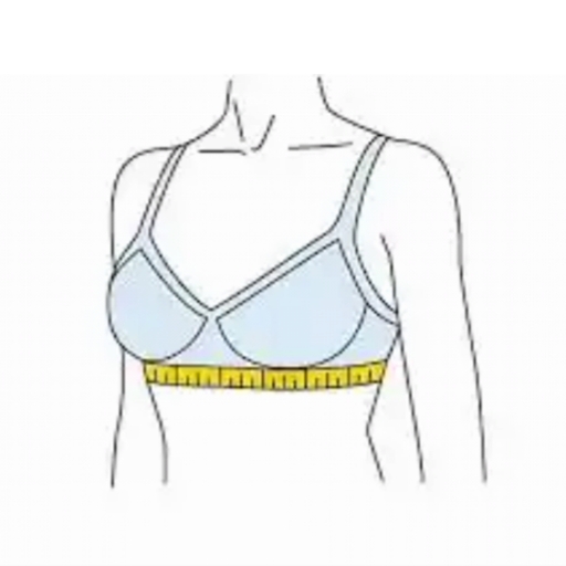 Breast Workout, The Secret Of Breast icon