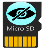 Hide SD Card icon