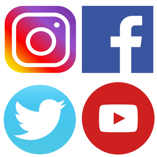 4 in 1-Social media icon