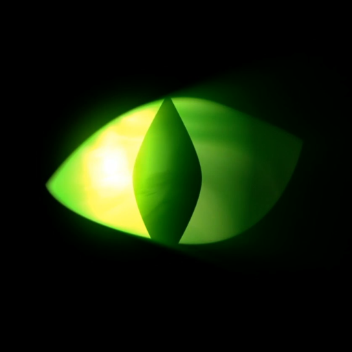 Stalker Cat Video Live Wallpaper PRO icon