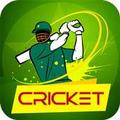 Cricket Rivals 3D