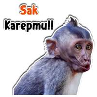 Sticker Hewan Gif WAStickerApp on 9Apps