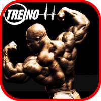 Treinos e Exercícios