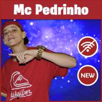 musicas mc pedrinho 2020