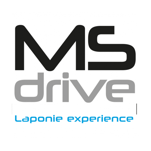 MS DRIVE आइकन