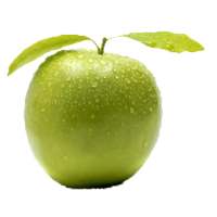 Vitamines et Minéraux (Besoin / Apport journalier)