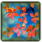 ikon Nature Live Wallpaper