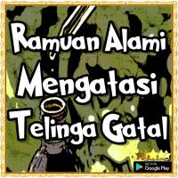 Ramuan Alami Mengatasi Telinga Gatal on 9Apps