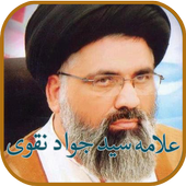 Allama Syed Jawad Naqvi Audio &amp; Videos Lectures icon