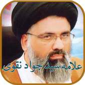 Allama Syed Jawad Naqvi Audio & Videos Lectures