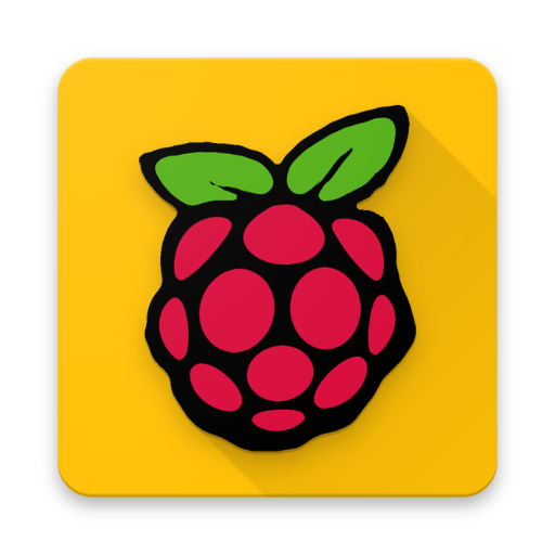 ikon Raspberry Pi Projects