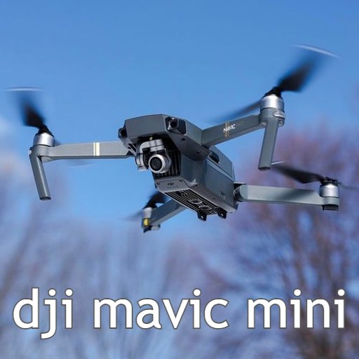 Dji mavic mini icon