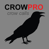Crow Calls and Crow Sounds icon